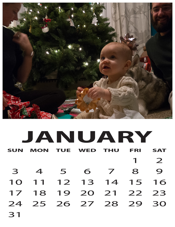 January Family Calendar